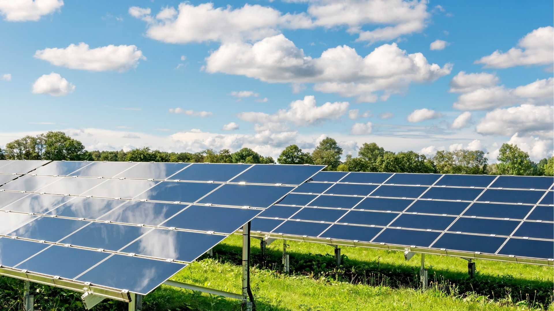 Πώς τα Δέντρα Επηρεάζουν την Απόδοση των Φωτοβολταϊκών Συστημάτων